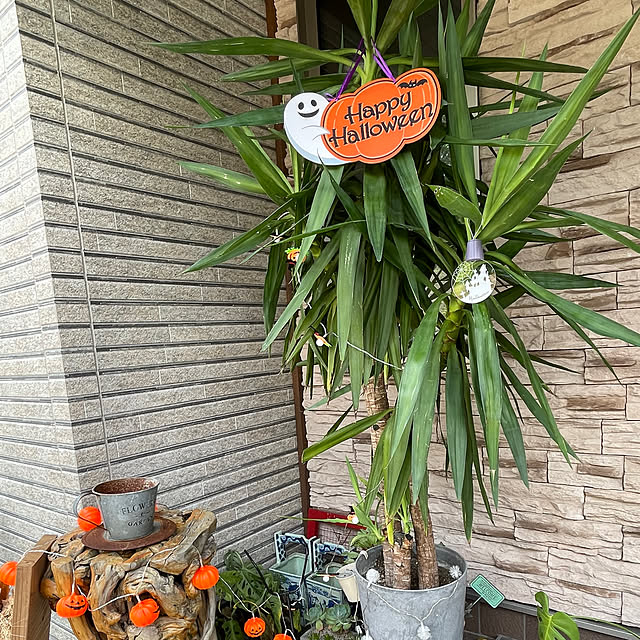 Reikoさんの実例写真