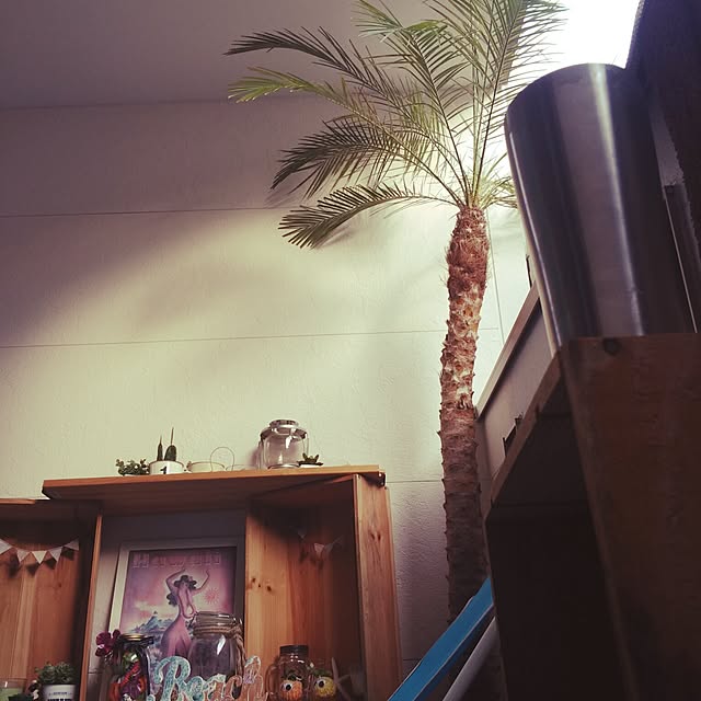 ya-さんの実例写真