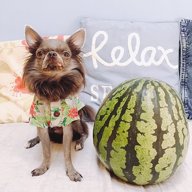 naeさんの実例写真