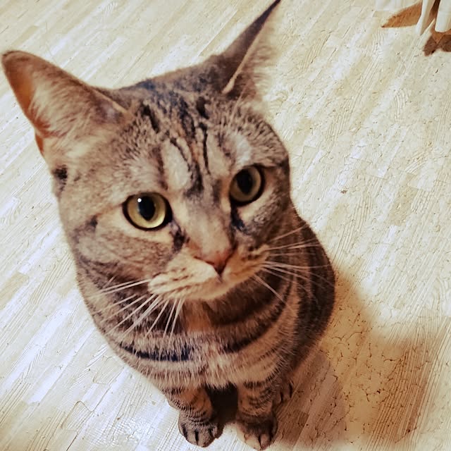 runaさんの部屋