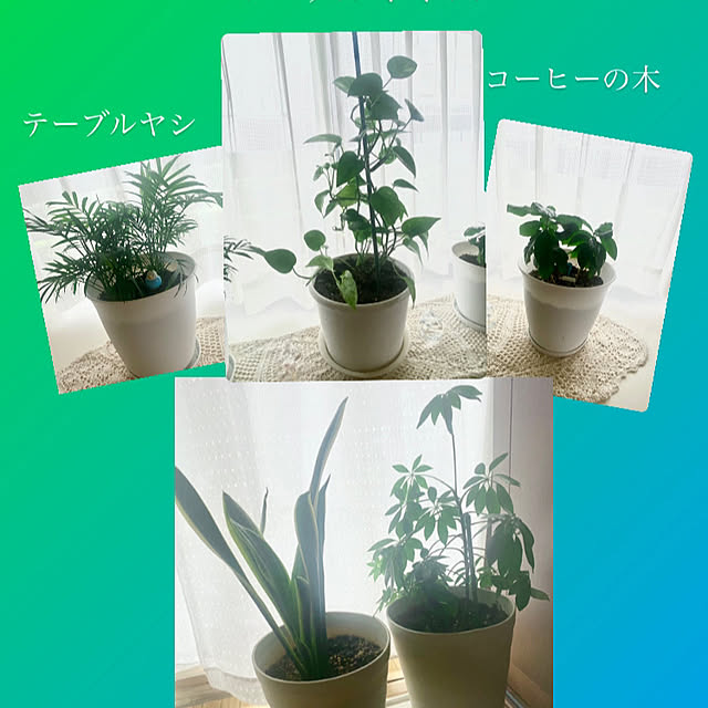 YuuKoさんの実例写真