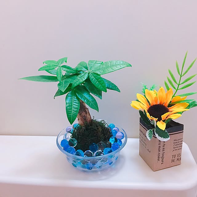 anzuameさんの実例写真