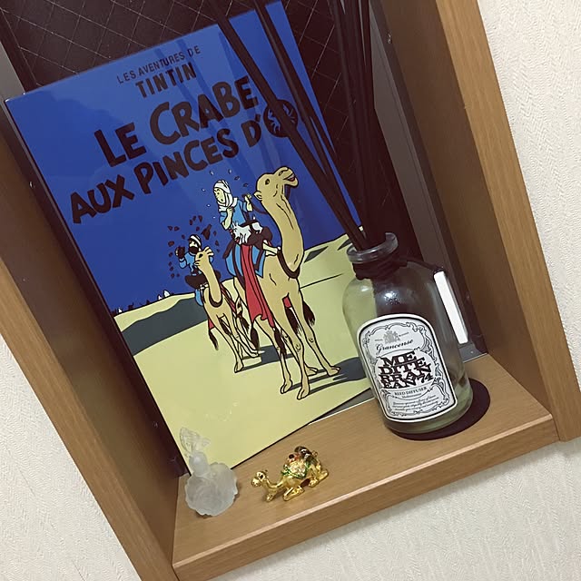 panngu_gannpuさんの実例写真