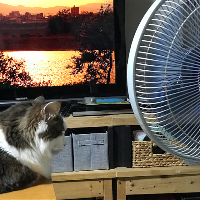 masakoさんの実例写真