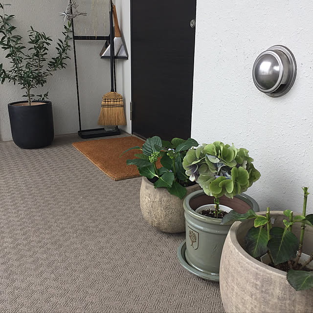 shihoさんの実例写真