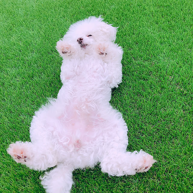 Saitouさんの実例写真