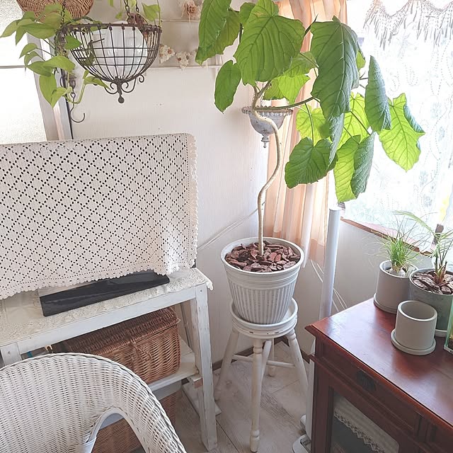 miho.okuさんの実例写真