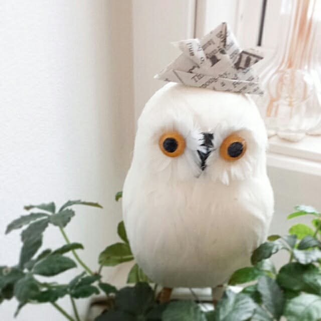 masax_xさんの実例写真