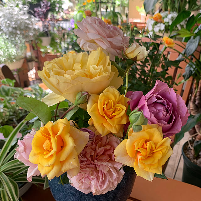 Aqettyさんの部屋
