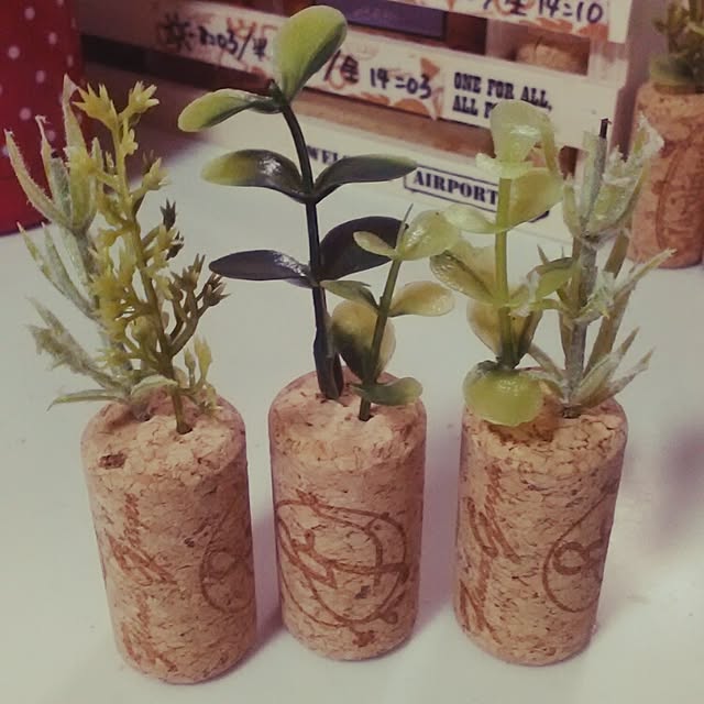 midorinoutuboさんの実例写真