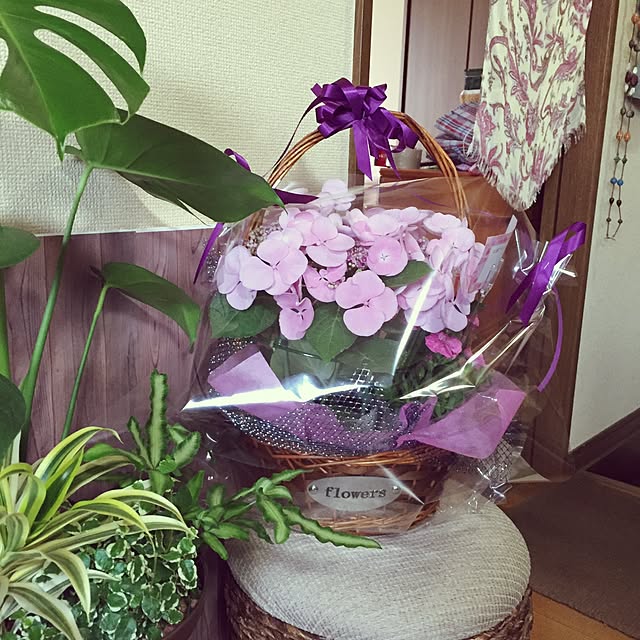 Norikoさんの実例写真