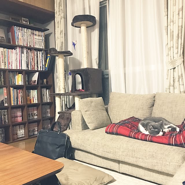 hacchiさんの実例写真