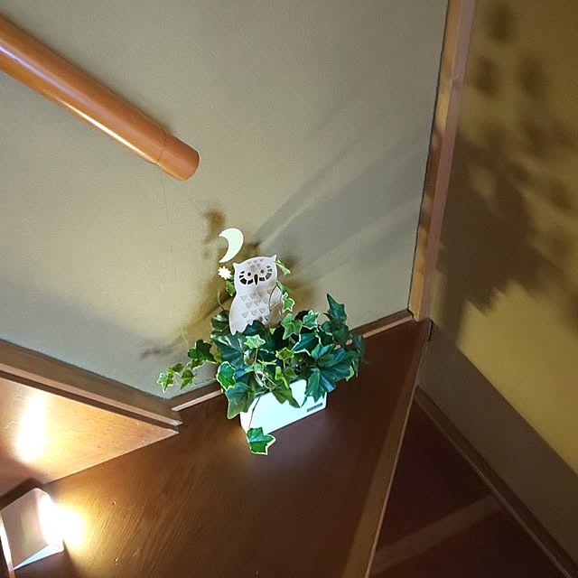 CassiyCocoさんの実例写真
