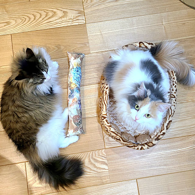 akiko6193さんの実例写真