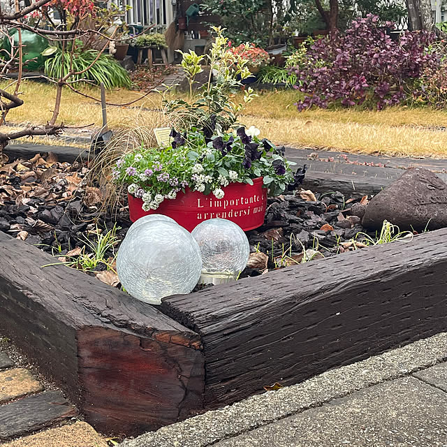 nobikoさんの部屋