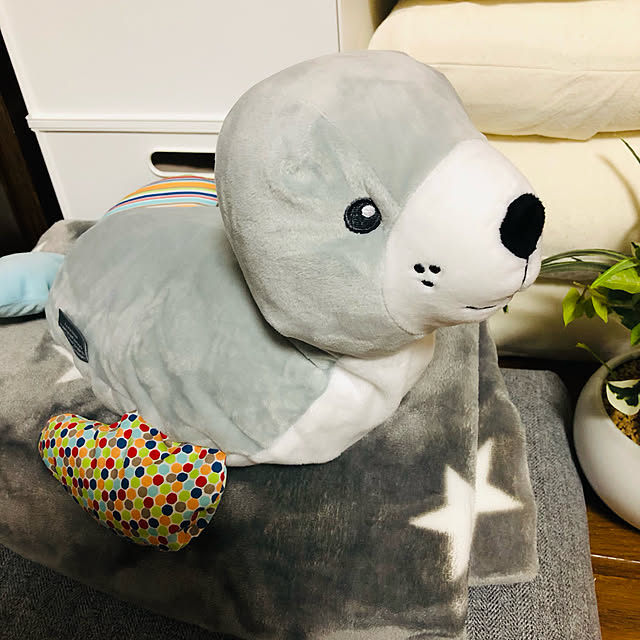 gorogororinさんの実例写真