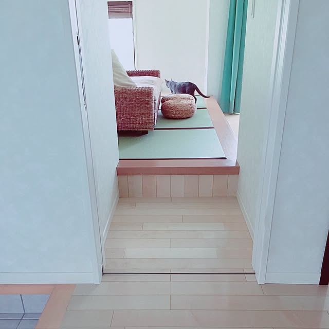 実例写真
