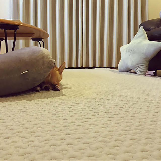 aleomalさんの実例写真