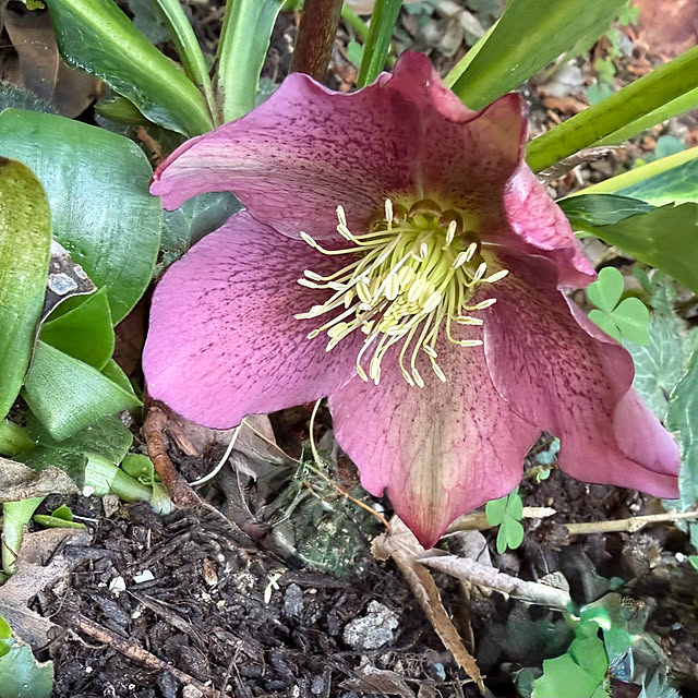 buchiさんの部屋