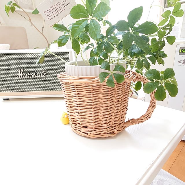 fleur-mamanさんの部屋