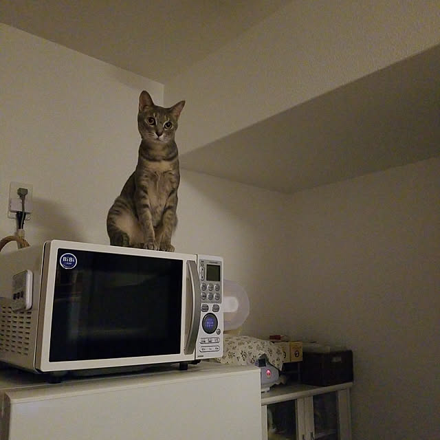 yukiさんの実例写真
