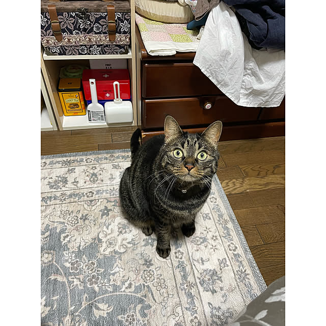 momocchiさんの部屋