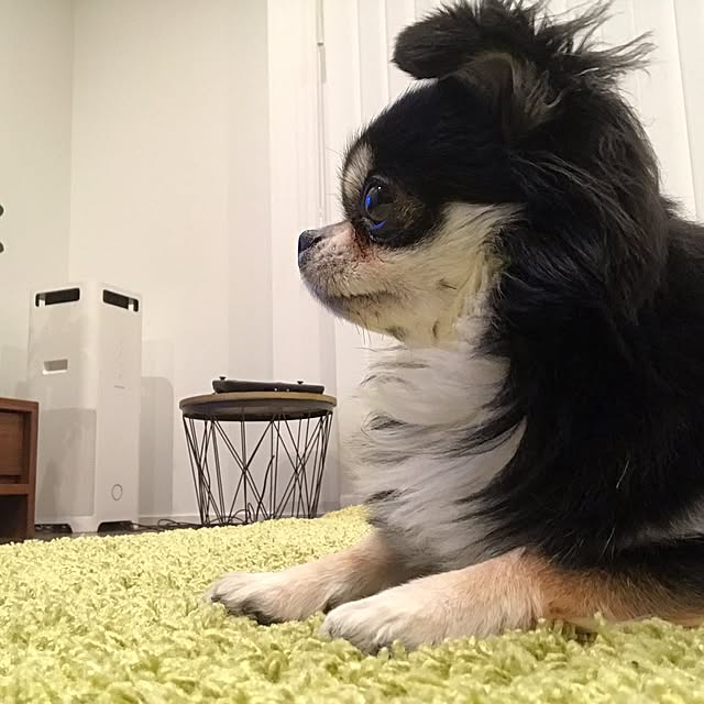 nanaさんの実例写真
