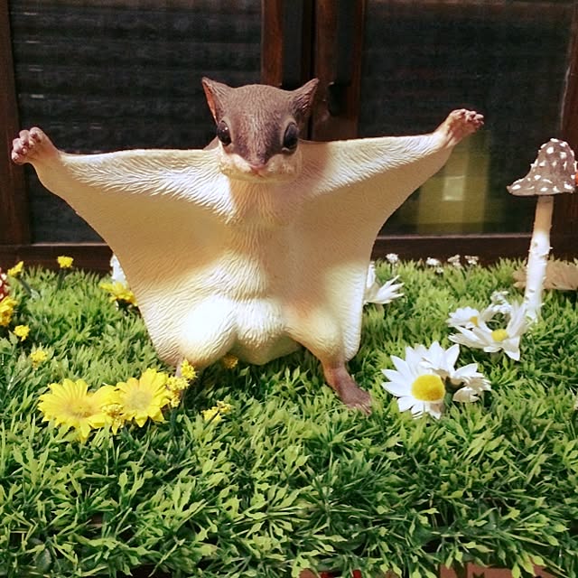tubutanさんの実例写真