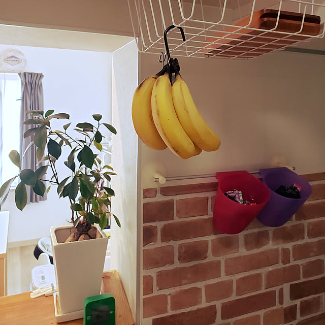 キッチン/観葉植物/100均/IKEA/キャンドゥのインテリア実例 - 2019-06-22 08:23:39