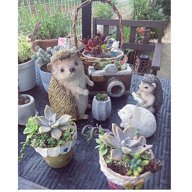 CoCo0617さんの実例写真