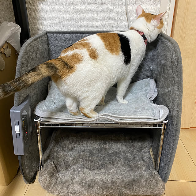 tonbiさんの実例写真