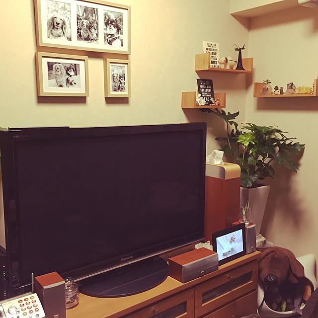Harumiさんの実例写真