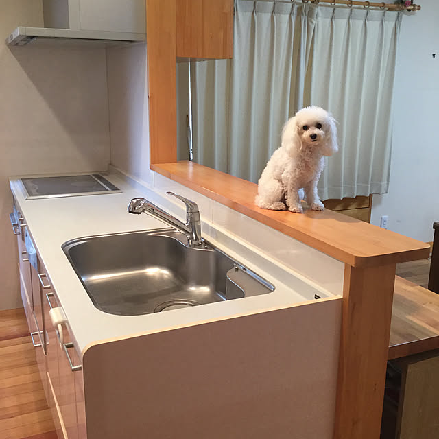 kakoさんの実例写真