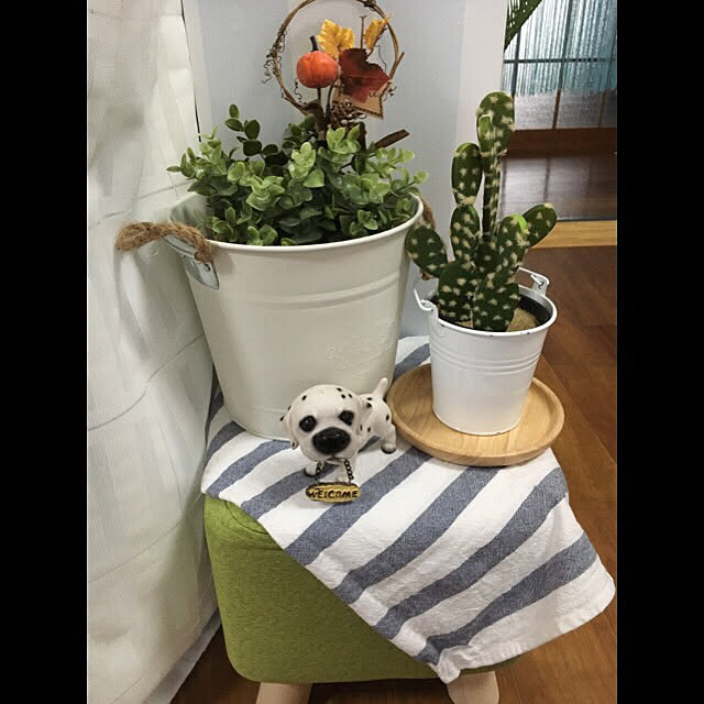 hanaさんの実例写真