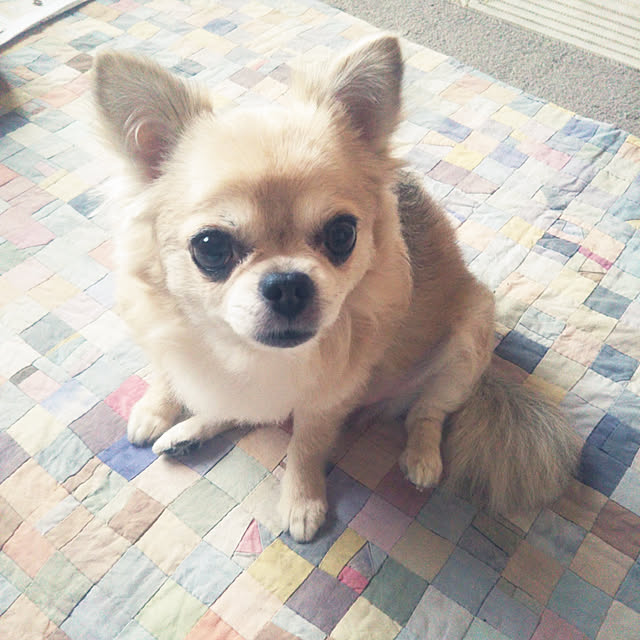 kiraさんの実例写真