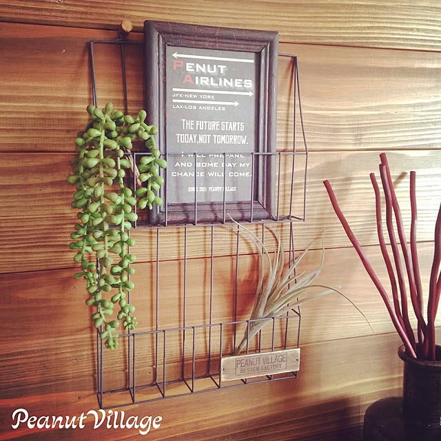 PeanutVillageさんの実例写真