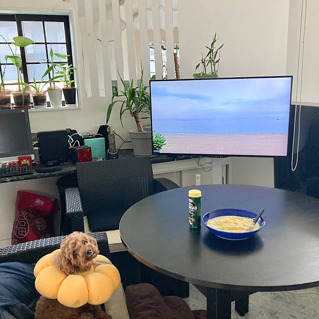 MOMOMAMAさんの実例写真