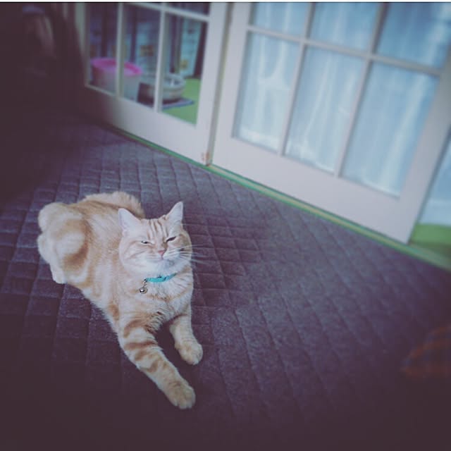 mntcさんの実例写真