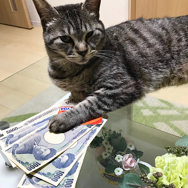 Shinさんの実例写真