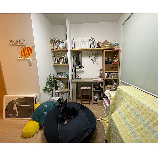ARISAさんの実例写真