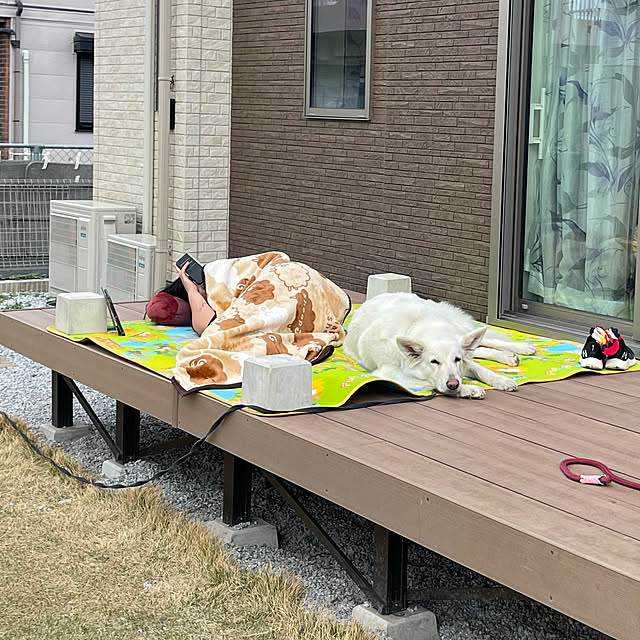 manekinekoさんの実例写真