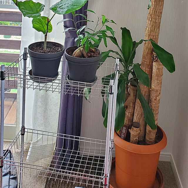 korokoroさんの実例写真
