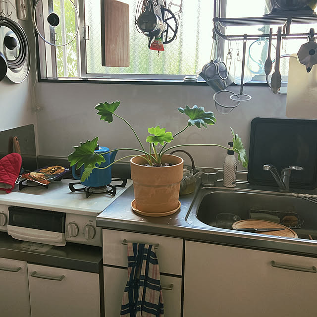 yukiatarIさんの実例写真