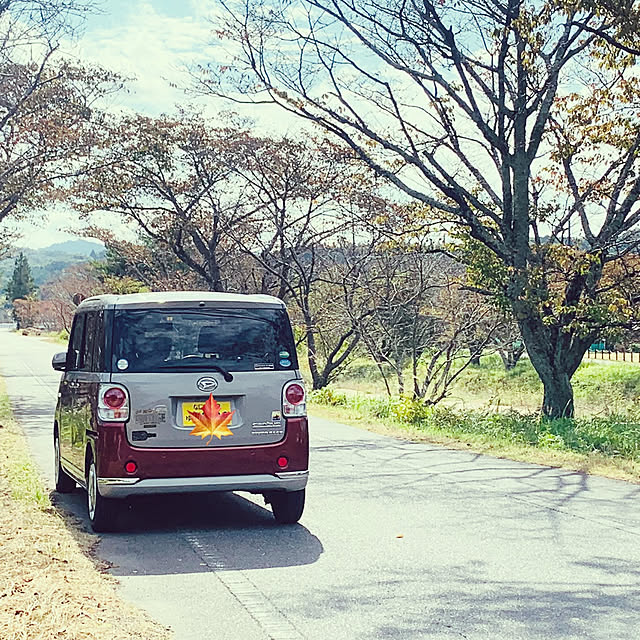 tututu0204さんの実例写真