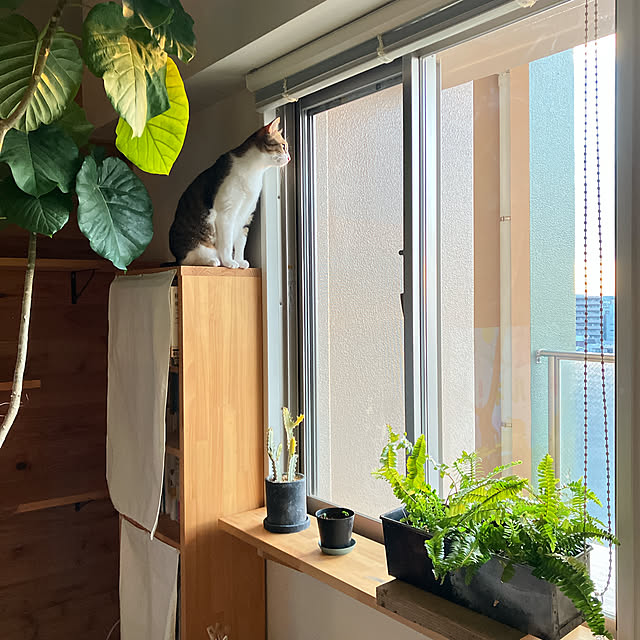 conmichanさんの部屋