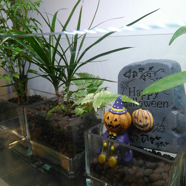 poohさんの実例写真