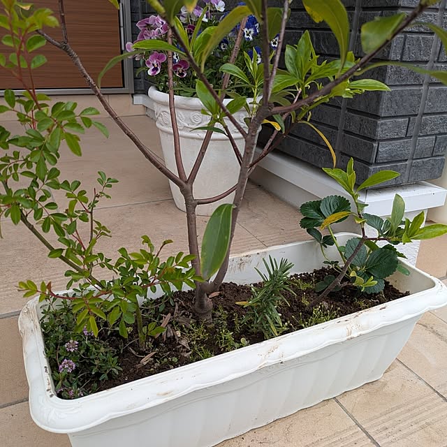 minnieさんの部屋