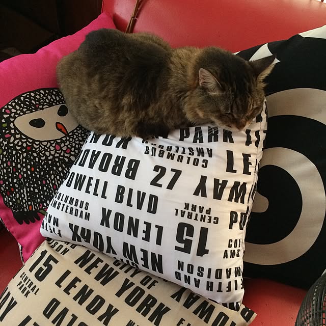 mikkoさんの実例写真