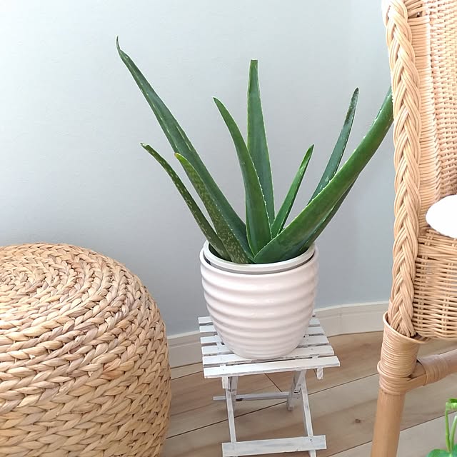 alohakaorenさんの実例写真