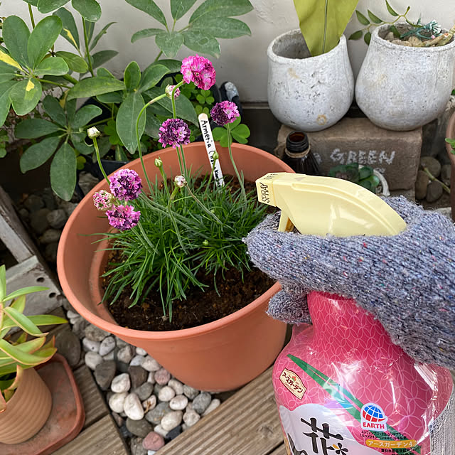 mamiさんの実例写真